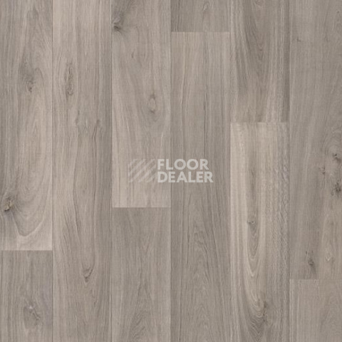 Линолеум Forbo Sarlon Wood 19dB 8412T4319 grey silver oak фото 1 | FLOORDEALER